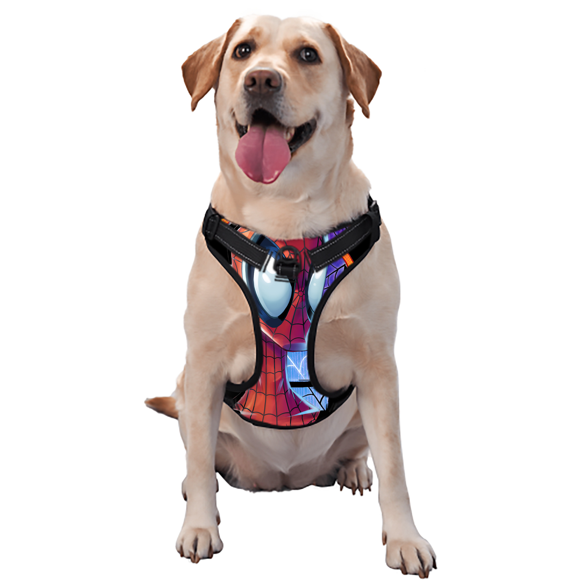 （画像用） Spider Man スパイダーマン ペット用ハーネス